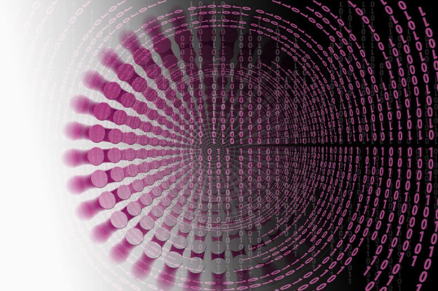 Variant and Complexity Management in the Product Development Process